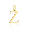 Zawieszka Z0069 Diament 0,005ct - litera Z - żółte złoto