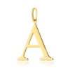 Zawieszka Z0070 Diament 0,005ct - litera A - żółte złoto