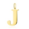 Zawieszka Z0070 Diament 0,005ct - litera J - żółte złoto